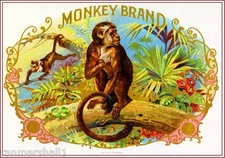 1900 Monkey Smoke Vintage Cigar Tobacco Box Crate Inner Label Print