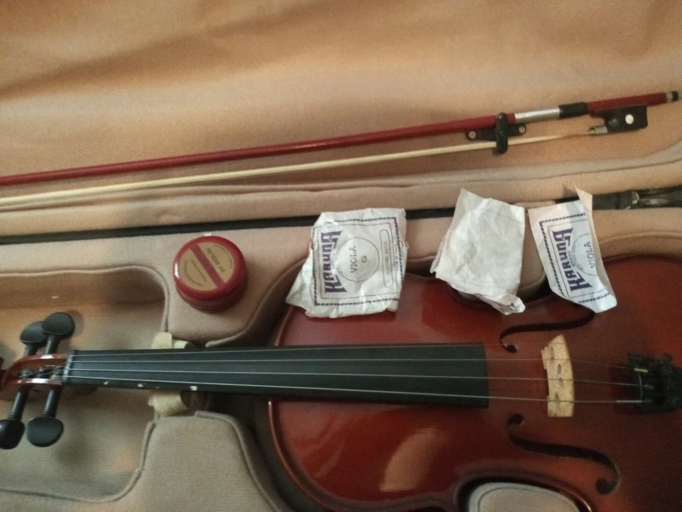 viola 4/4 Foto 2 de 4