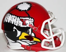 2022 Youngstown State Penguins Custom Riddell Mini Helmet vs Indiana State