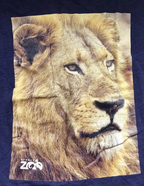 Sydney Zoo Lion Cotton Short Sleeve Top Tee Tshirt Size M Boho