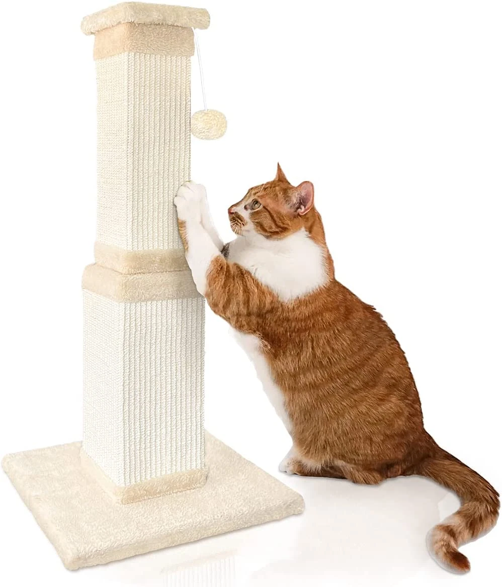 Scratch post for clearance cats