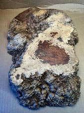 Amboyna Burl, Exotic Wood, Lumber