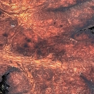 amazing grained mesquite burl slab 14 x8 x1.5 wow! colors look like fire