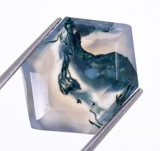 Natural Garden Moss Agate Brilliant Cut Hexagon 14X10mm Wholesale Gemstone 1 Ct.