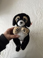 TY Beanie Baby (Beanie Bellies) - RANGER the Dog (6 inch) - MWMTs Stuffed Toy