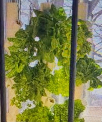 Gardyn 3.0 Indoor Vertical Hydroponics Plants/Veggies/Herb Growing/Prepping