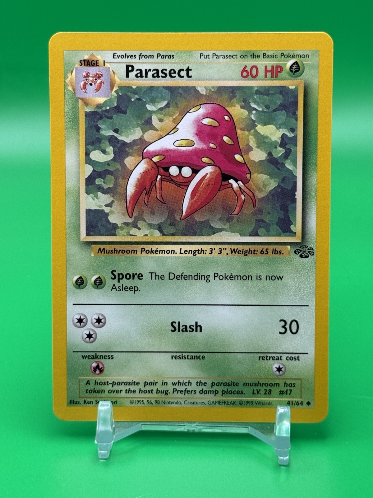 Pokémon TCG Parasect 41/64 Regular Unlimited Uncommon Jungle L5 NM Near Mint