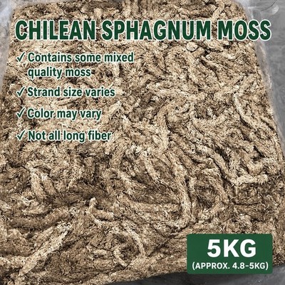 Chilean Sphagnum Moss 5KG Premium Long Fiber 7 Star Orchid Carnivorous Plants