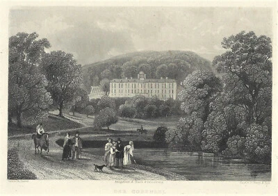 WIEN SCHLOSS COBENZL Döbling (REISENBERG 19.Bezirk) Th.ENDER  Stahlstich um 1850 - Bild 1 von 3