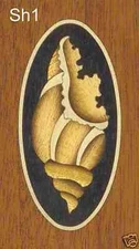 Oval Shell Inlay Marquetry #SH1 4"x2" or 3"x1-1/2", VENEER WOODWORKING REQUIRED
