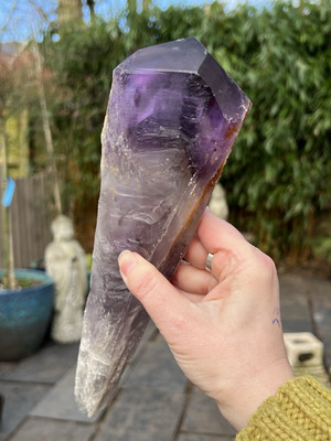 Amethyst Stab / Wurzel lang grob brasilianisch Minas Gerais AAA+ 731g 13