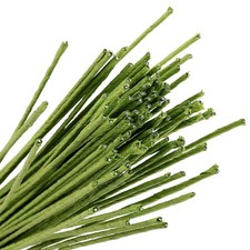 KEILEOHO 400 PCS 14 Gauge Floral Stem Wire16 Inch, Green Florist Flower Wire Ste