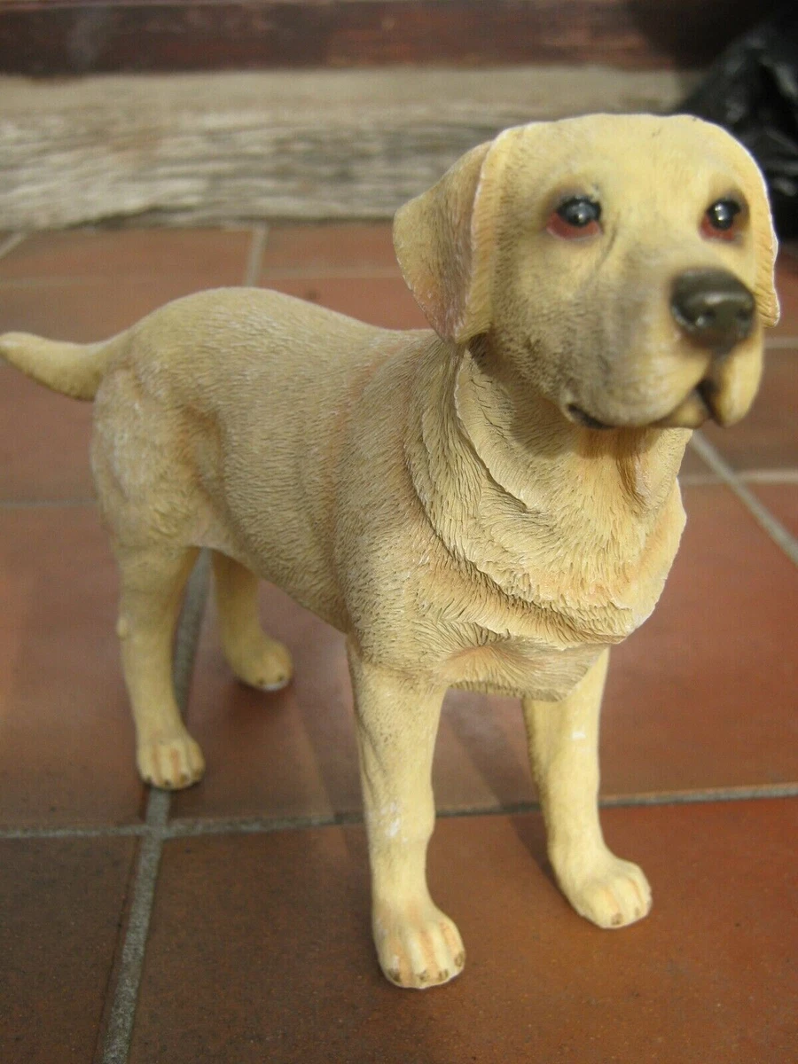 Lebra sales dog online