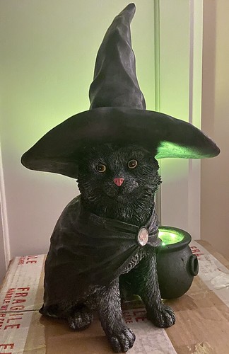 HALLOWEEN Black Cat with Witch Hat 