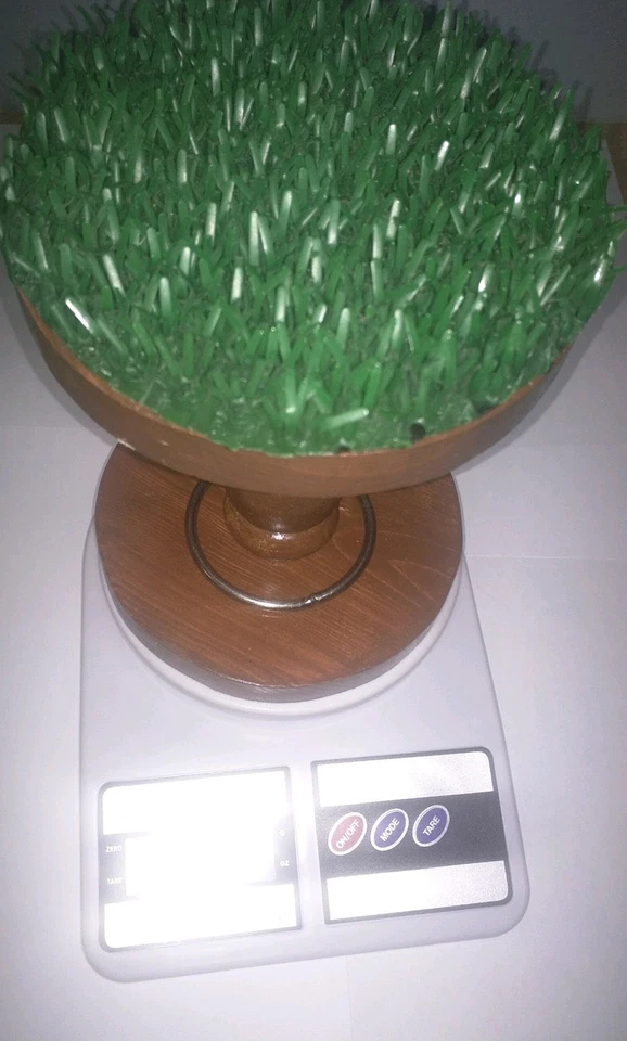 Fauconnerie Numérique Échelle Avec Original Astroturf & Bague - Photo 4/4