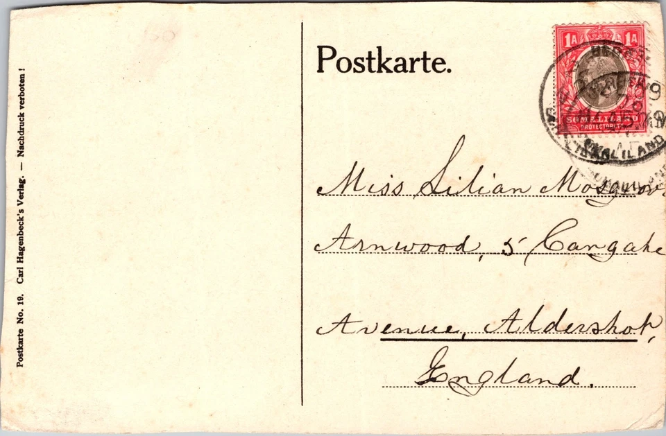 1909 British Somaliland Chimpanzee Zoo Postcard Cover to Aldershot England - Image 2 of 2