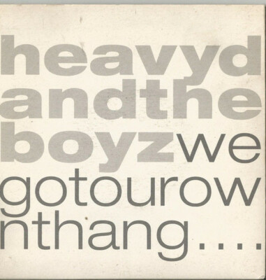 Heavy D. & The Boyz We Got Our Own Thang.... ALTERNATE PICTURE SLEEVE