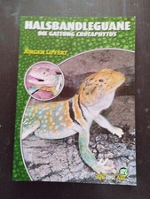 Halsbandleguane