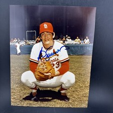 Top 10 Ted Simmons Baseball Cards 27