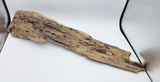 Driftwood Taxidermy Aquarium Terrarium Beach House Decor 22" Long x 4" Wide