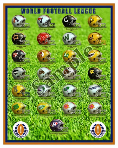 1974 -75 WFL Team Logo Helmets Color 8 X 10 Photo Picture Poster