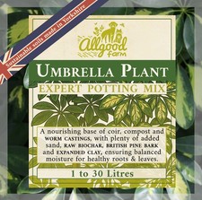Umbrella Plant Premium Soil Mix 1-30L | Schefflera | Umbrella Tree | Eco Compost