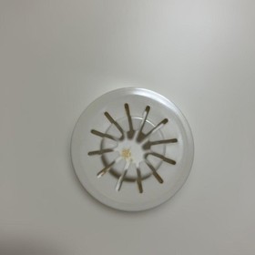 Dreamcast Power Smash Power Smash postcard Japan k2