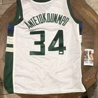 Giannis Antetokounmpo Signed Milwaukee Bucks #34 Basketball Jersey JSA