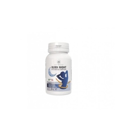 Burn Night 24 Gram Carnitine Vegetable Extract Dietary Supplement 
