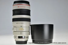 Canon EF 100-400mm f/4.5-5.6 L IS USM Excellent