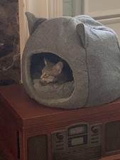 Gray Plush Enclosed Cave Cat Bed with Ears Cozy Soft Pet Furniture for Cats