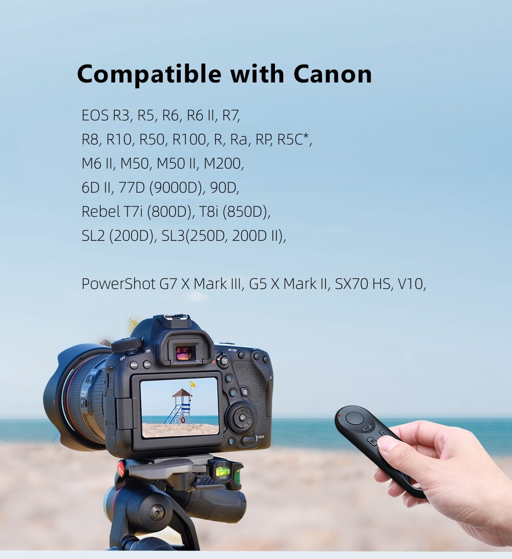 Canon 6d 6dii Vs Rp Canon Eos Rp Vs 6d Mark Ii Canon EOS 6D Mark
