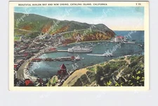 PPC Postcard CA California Catalina Island Beautiful Avalon Bay New Casino Birds