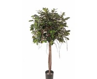 Abverkauf - Ficus Kunstbaum 150Cm Mit 3 EchtstäMmen Und Textilfaser BläTter