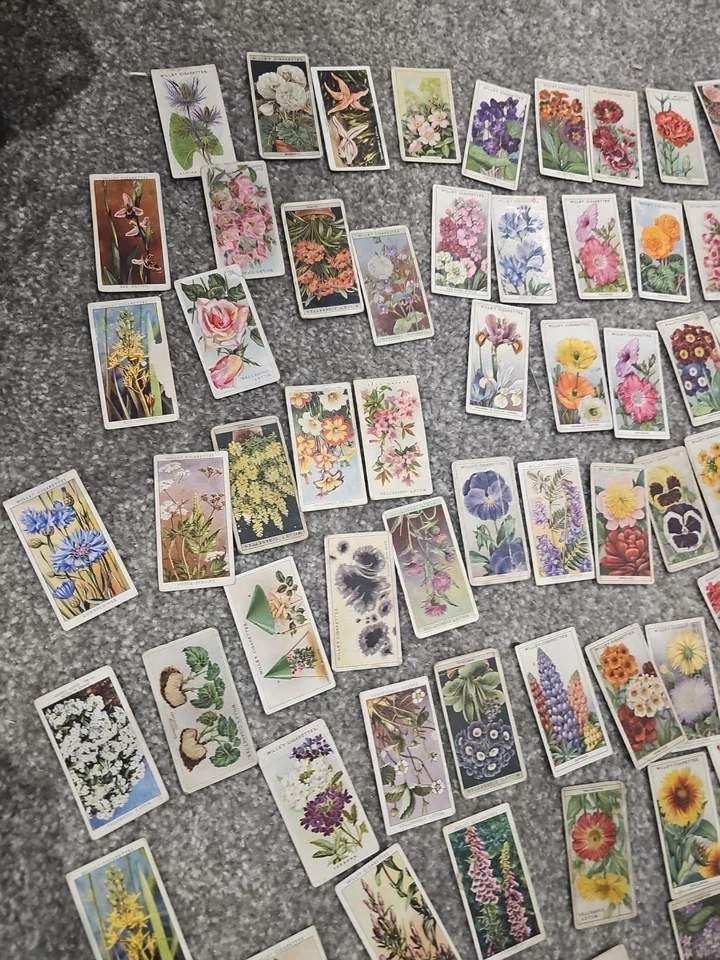 Vintage Cigarette Card Lot 250 ApFlower Cards – Wills's, Player's, Ogden's 1930s - Image 2 of 4
