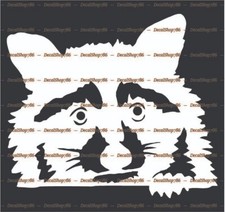 Raccoon Head Silhouette - Cars /SUV/Truck Vinyl Die-Cut Peel N' Stick Decals