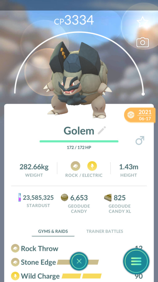 Pokemon toon Gogogo golem