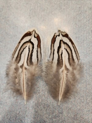 X-38 Pr Hybrid Silver Reeves Cross Pheasant Tail Spikes Feather