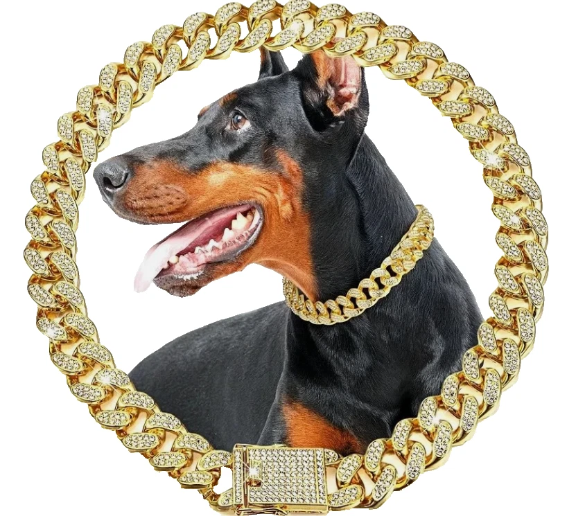25+ Pitbull Chain for sale | Updated Oct 2026
