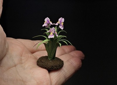 Dollhouse Miniature 1:12 Artisan made. Bearded Iris by Kraig Councell