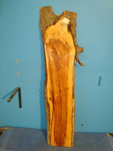 #6482 wild apple live edge slab rustic wood lumber 45"L 9 3/4"W 1 5/8T