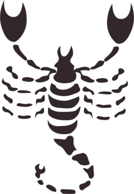 Scorpio #2 Astrology 1 Color Window Wall Vinyl Decal Sticker Printed