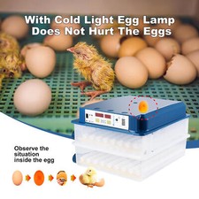 120 Eggs Incubator Temperature Control Automatic Digital Chicken Egg Hatcher