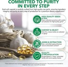 Aged Garlic Extract 7500mg Odorless Garlic Softgels