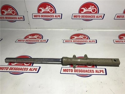 KOMPLETTE LINKE GABELSTANGE DAELIM roadwin125 roadwin125