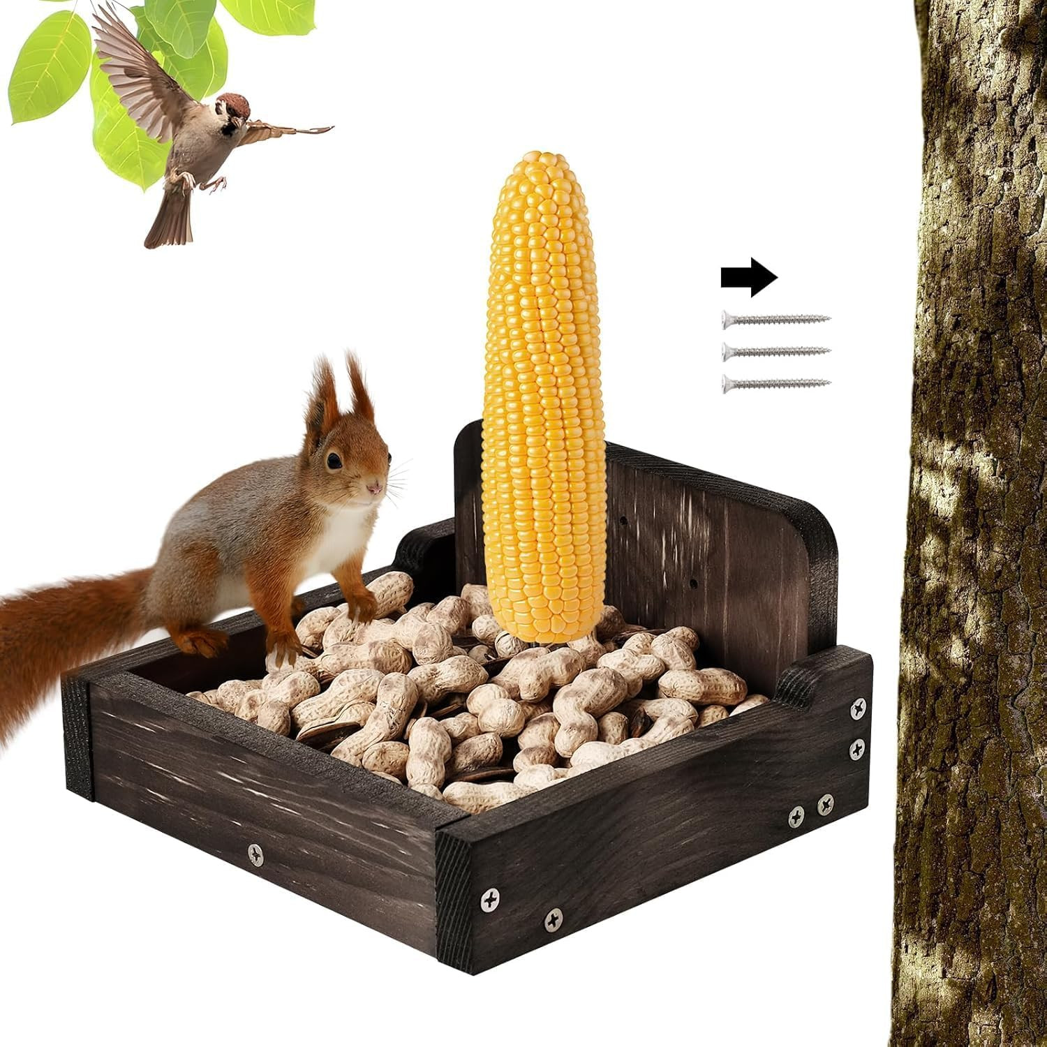 Outside, Squirrel Feeders For Outdoors, Chipmunk Feeder