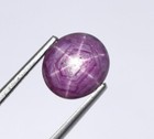 Bild 7 von 8