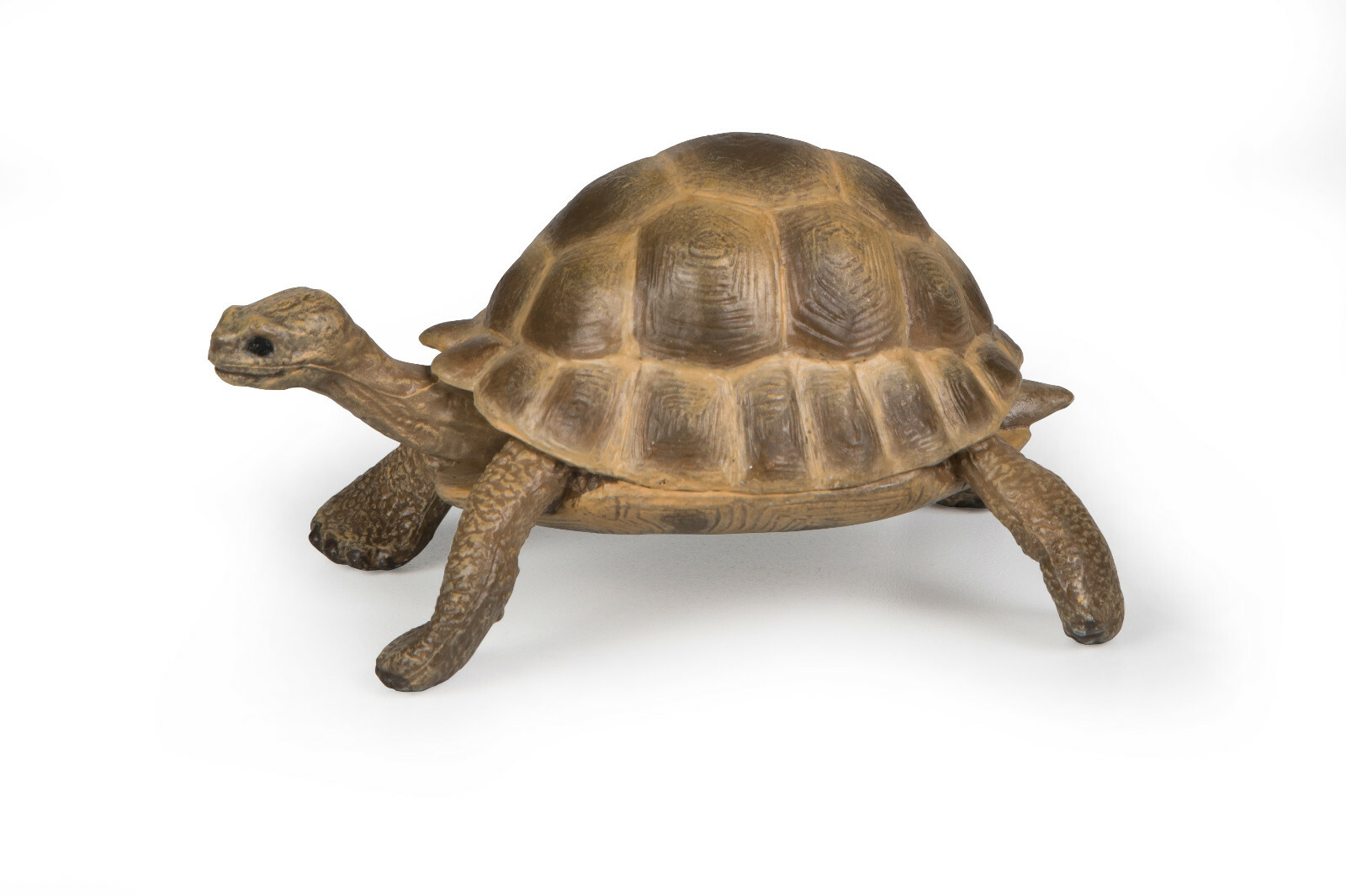 Papo 50264 Hermann's Turtle 8 Cm Wildlife