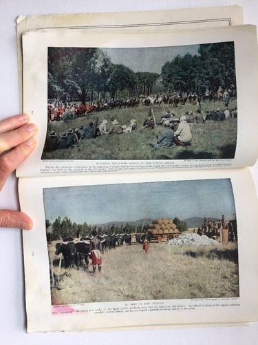 National Geographic Magazine South Africa 24 Color Photos April 1931 - Picture 3 of 12