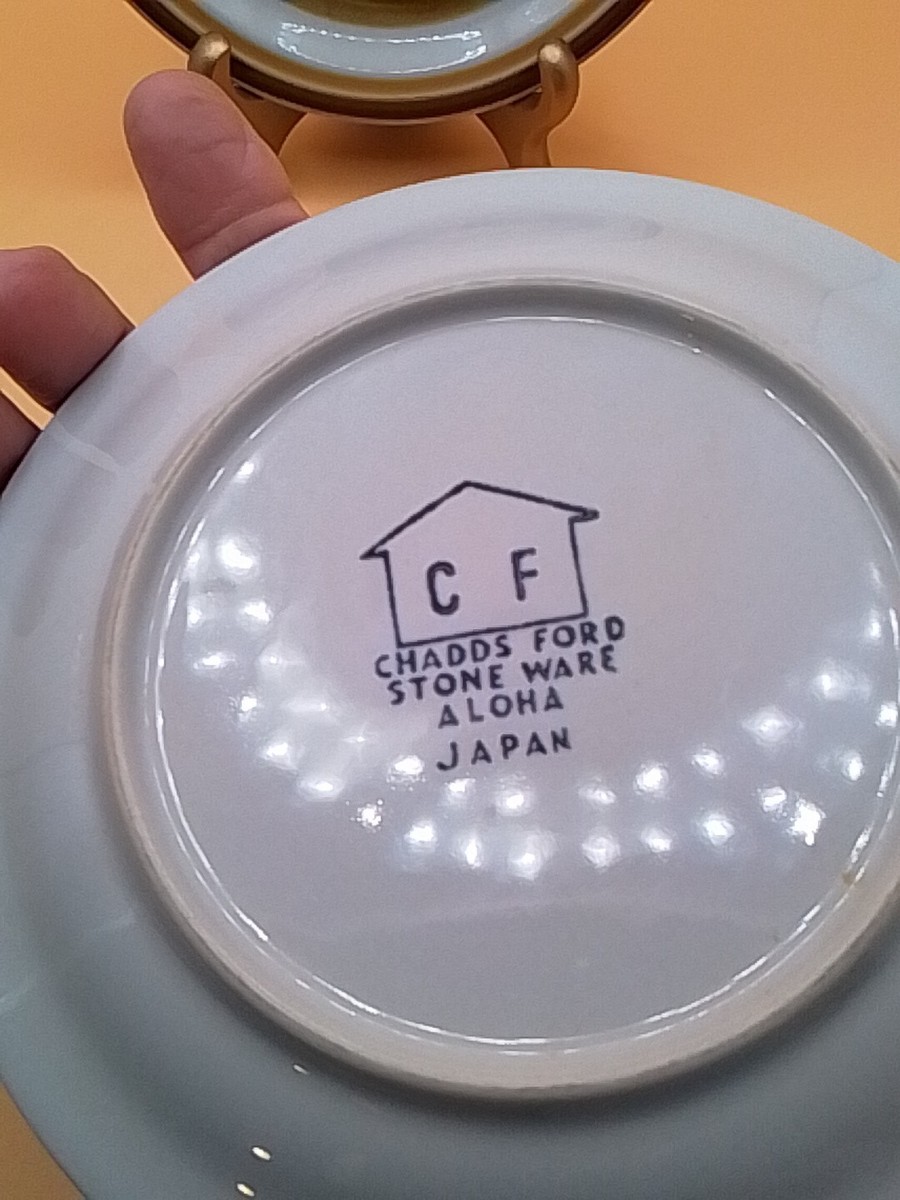 Chadds Ford Aloha Stoneware 1/2